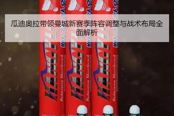 瓜迪奥拉带领曼城新赛季阵容调整与战术布局全面解析 | 9 GAME SPORTS